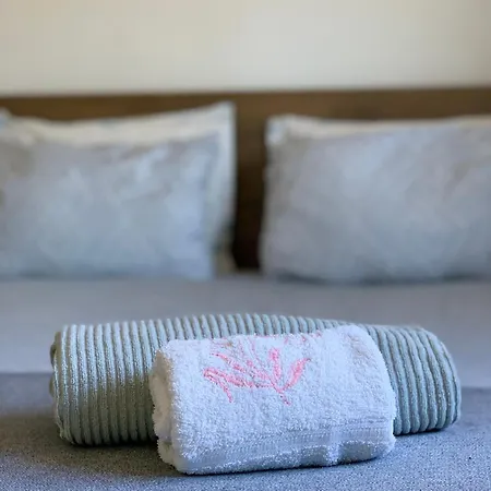 Fonte Velha 公寓 *